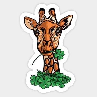 St. Patricks Day Giraffe Sticker